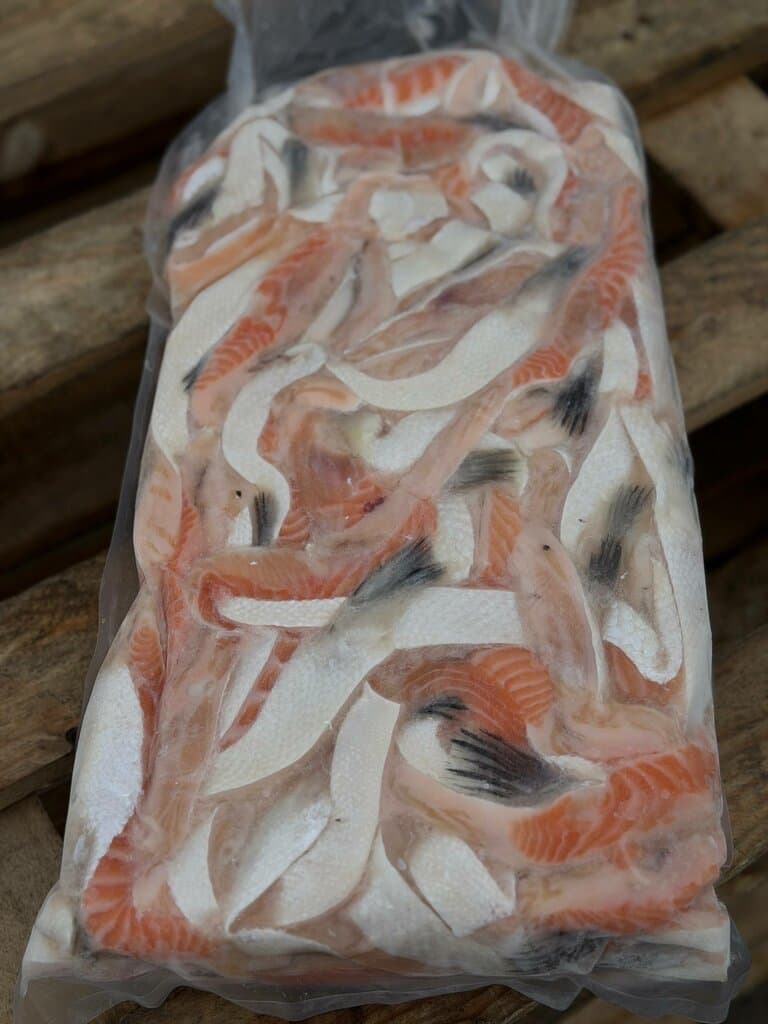 Брюшки семги
