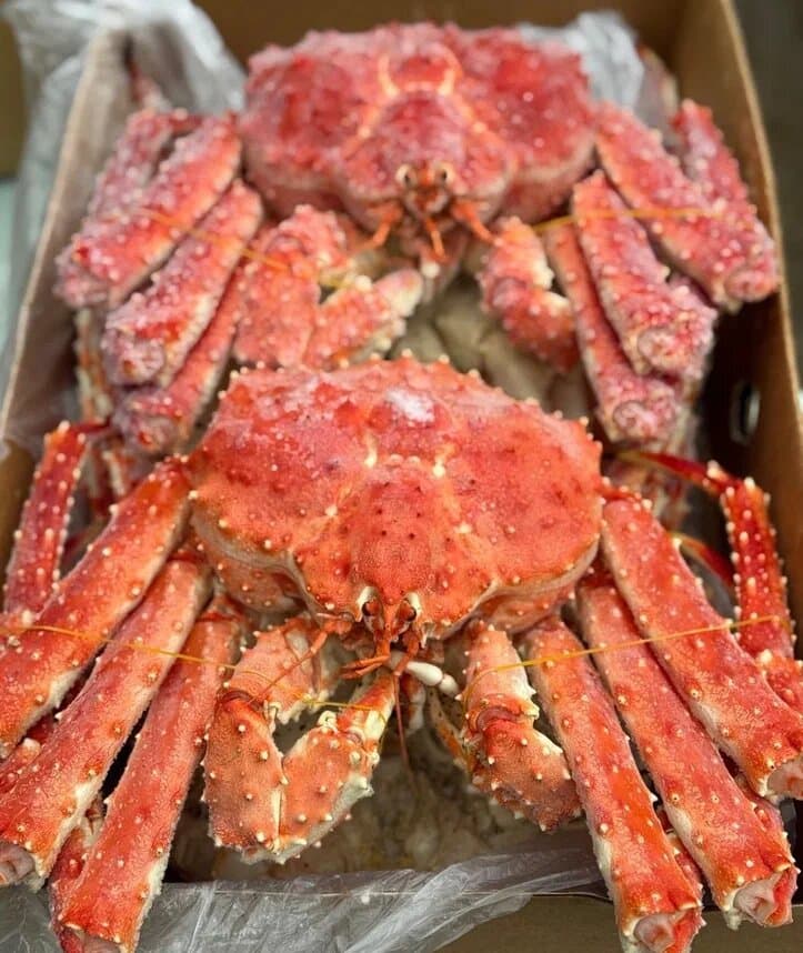 Краб подарочный камчатский