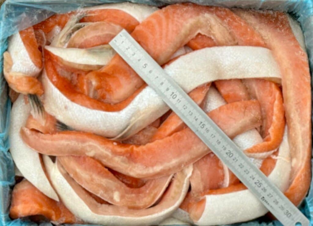 Брюшки семги крупные