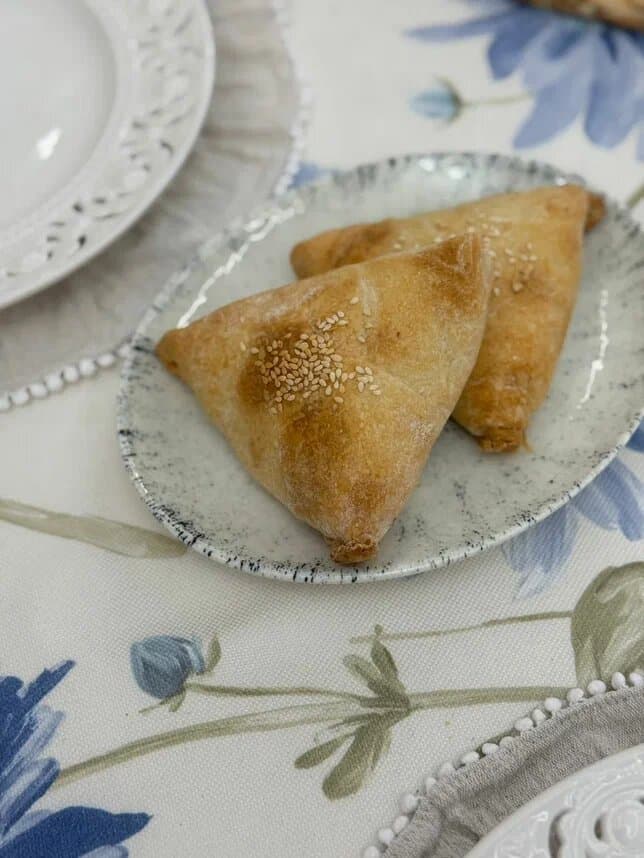 Самса домашняя (курица)